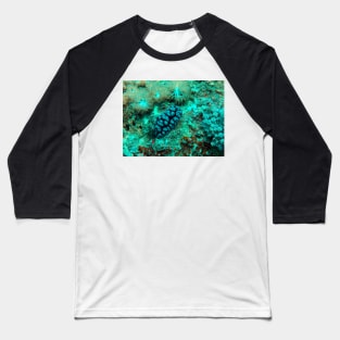 nudibranch Baseball T-Shirt